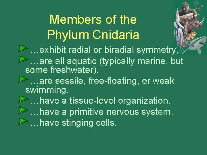 Members of the Phylum Cnidaria …exhibit radial or biradial symmetry. …are all aquatic (typically