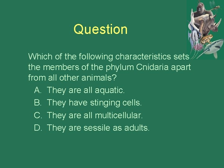 Question Which of the following characteristics sets the members of the phylum Cnidaria apart