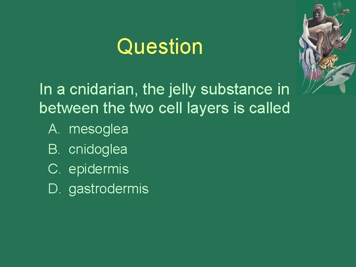 Question In a cnidarian, the jelly substance in between the two cell layers is
