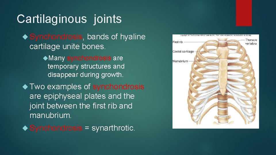 Cartilaginous joints Synchondrosis, bands of hyaline cartilage unite bones. Many synchondrosis are temporary structures