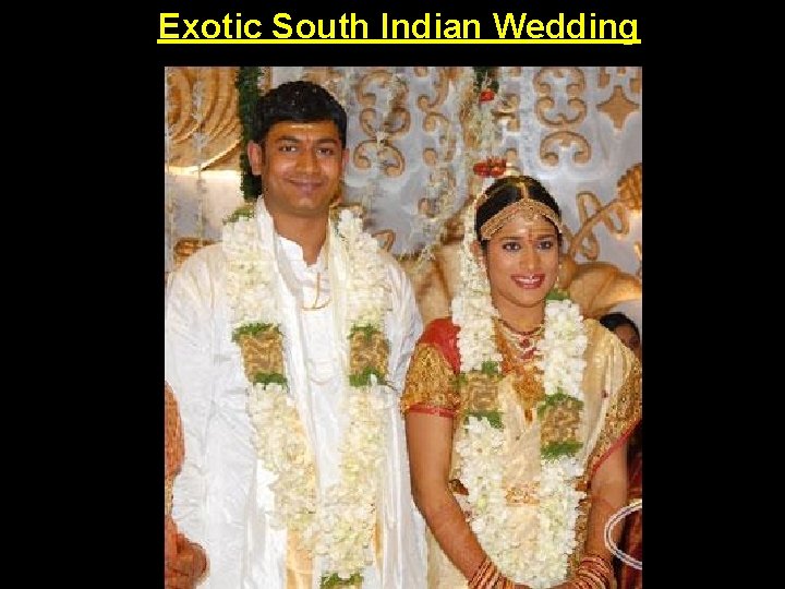 Exotic W Exotic South Indian Wedding 
