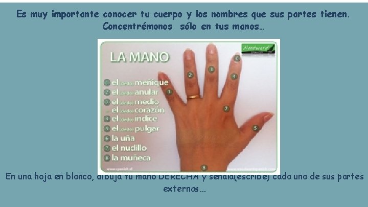 Es muy importante conocer tu cuerpo y los nombres que sus partes tienen. Concentrémonos Es muy importante conocer tu cuerpo y los nombres que sus partes tienen. Concentrémonos