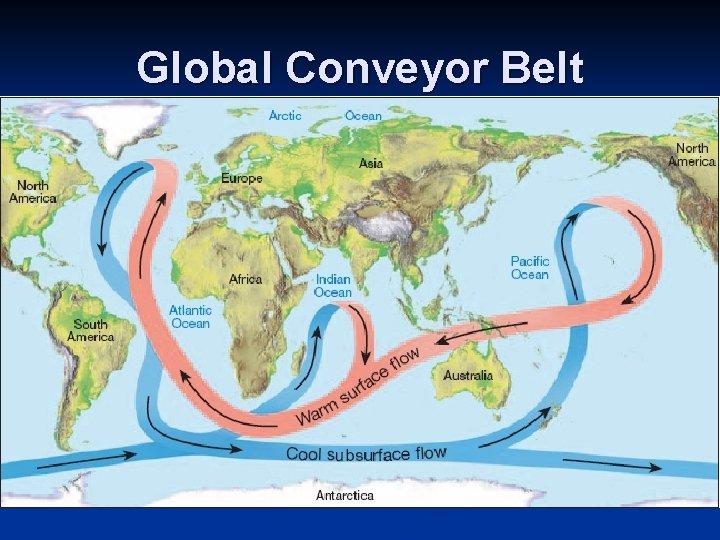 Global Conveyor Belt 