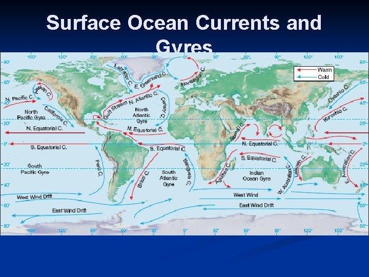 Surface Ocean Currents and Gyres 