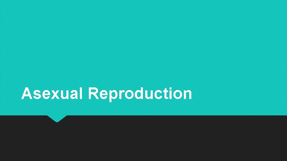 Asexual Reproduction 