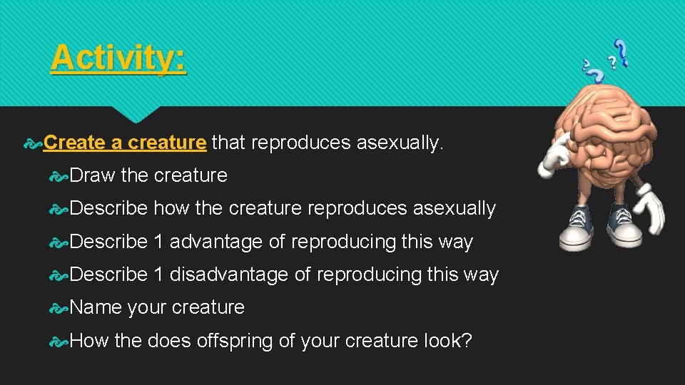 Activity: Create a creature that reproduces asexually. Draw the creature Describe how the creature