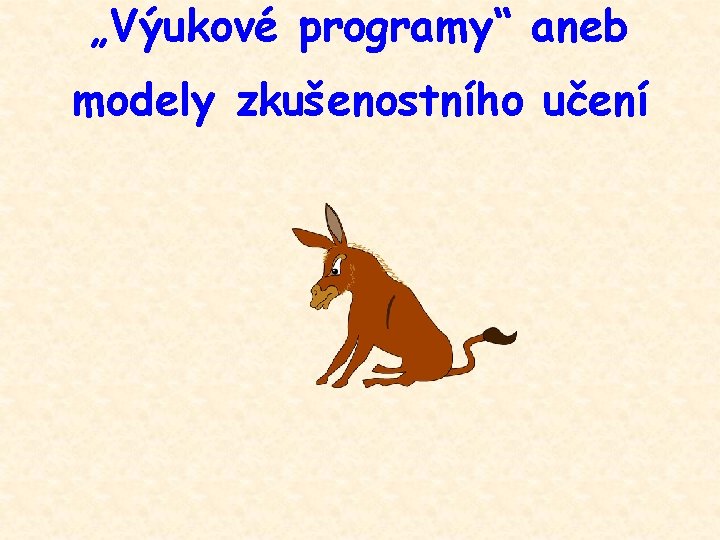 „Výukové programy“ aneb modely zkušenostního učení 