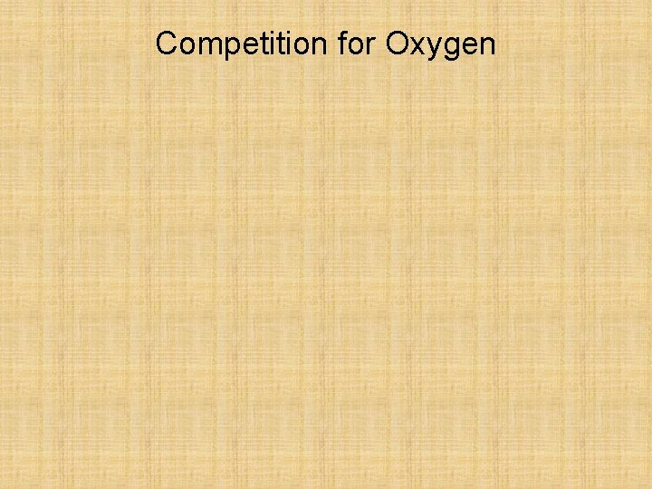 Competition for Oxygen 