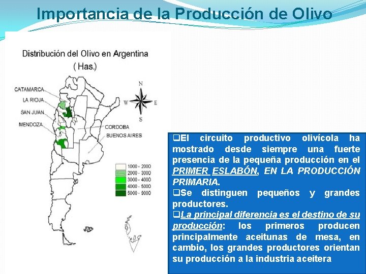 Importancia de la Producción de Olivo q. El circuito productivo olivícola ha mostrado desde