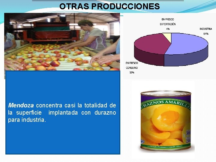 OTRAS PRODUCCIONES Mendoza concentra casi la totalidad de la superficie implantada con durazno para