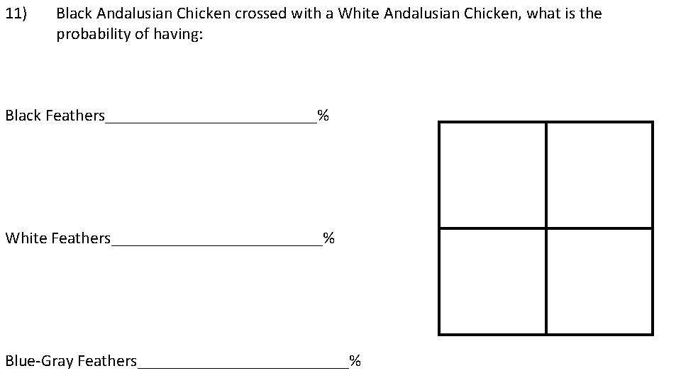 11) Black Andalusian Chicken crossed with a White Andalusian Chicken, what is the probability