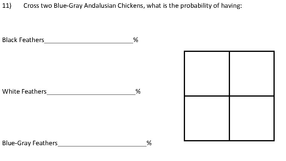 11) Cross two Blue-Gray Andalusian Chickens, what is the probability of having: Black Feathers_____________%