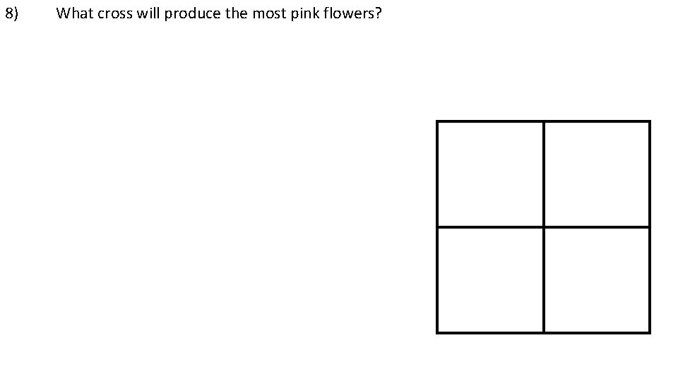 8) What cross will produce the most pink flowers? 