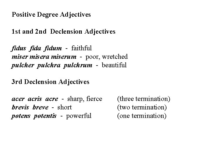 Positive Degree Adjectives 1 st and 2 nd Declension Adjectives fidus fida fidum -