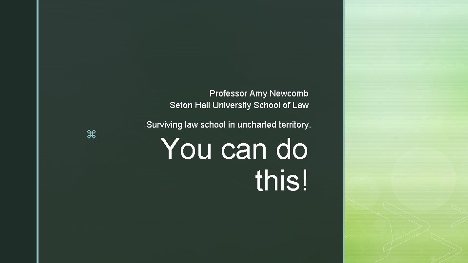 Professor Amy Newcomb Seton Hall University School of Law z Surviving law school in