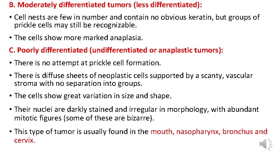 B. Moderately differentiated tumors (less differentiated): • Cell nests are few in number and