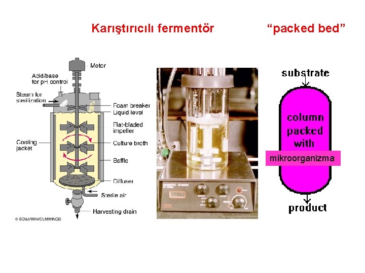 Karıştırıcılı fermentör “packed bed” mikroorganizma 