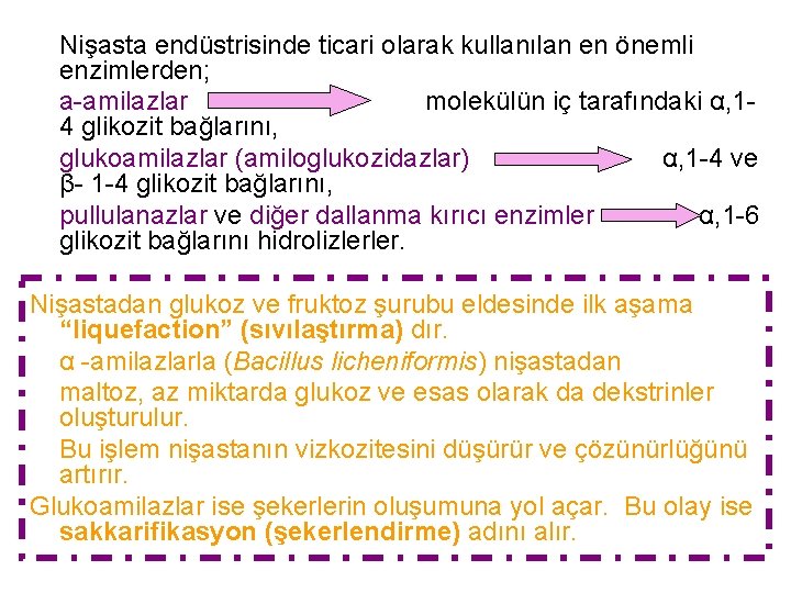 Nişasta endüstrisinde ticari olarak kullanılan en önemli enzimlerden; a-amilazlar molekülün iç tarafındaki α, 14