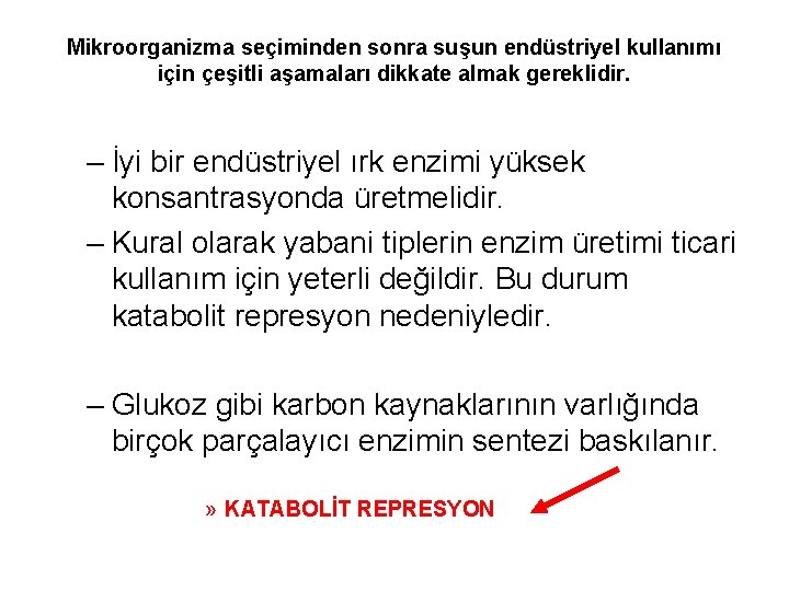 Mikroorganizma seçiminden sonra suşun endüstriyel kullanımı için çeşitli aşamaları dikkate almak gereklidir. – İyi