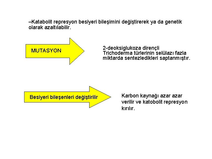 –Katabolit represyon besiyeri bileşimini değiştirerek ya da genetik olarak azaltılabilir. MUTASYON Besiyeri bileşenleri değiştirilir