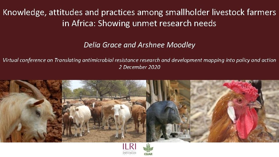 Knowledge, attitudes and practices among smallholder livestock farmers in Africa: Showing unmet research needs