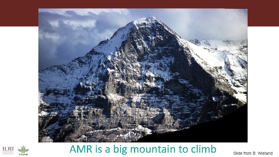 Overview AMR is a big mountain to climb Slide from B. Wieland 