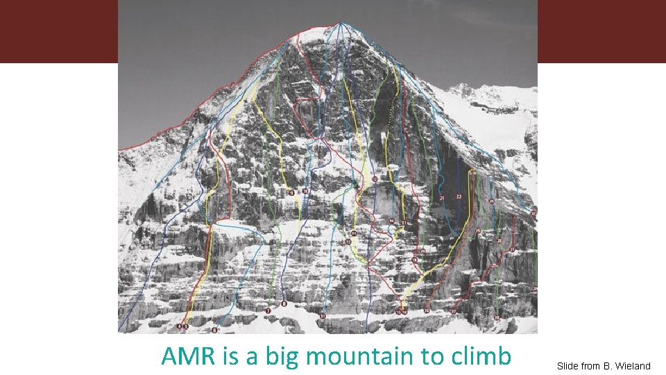 AMR is a big mountain to climb Slide from B. Wieland 