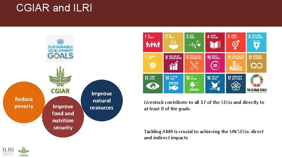 CGIAR and ILRI Reduce poverty Improve food and nutrition security Improve natural resources Livestock