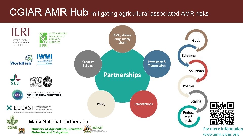 CGIAR AMR Hub mitigating agricultural associated AMR risks Many National partners e. g. For