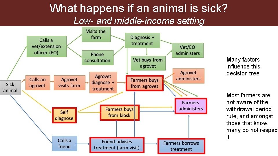 What happens if an animal is sick? Low- and middle-income setting Many factors influence