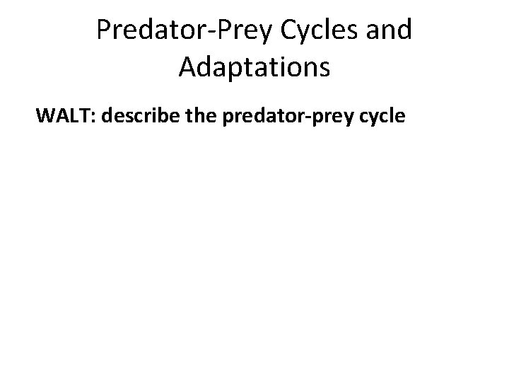 Predator-Prey Cycles and Adaptations WALT: describe the predator-prey cycle 