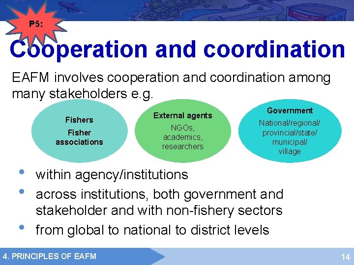 P 5: Cooperation and coordination EAFM involves cooperation and coordination among many stakeholders e.
