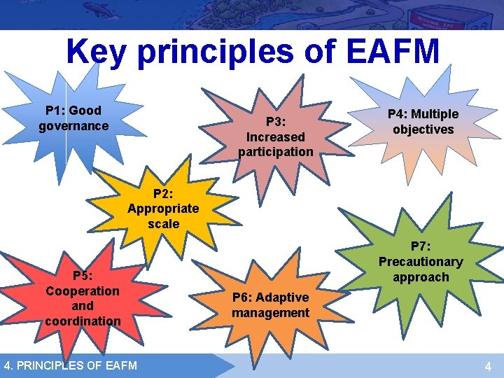 Key principles of EAFM P 1: Good governance P 3: Increased participation P 4: