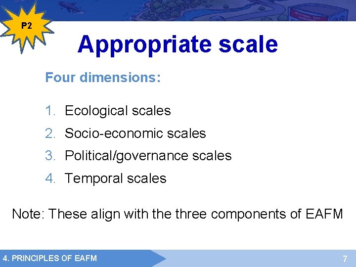 P 2 Appropriate scale Four dimensions: 1. Ecological scales 2. Socio-economic scales 3. Political/governance