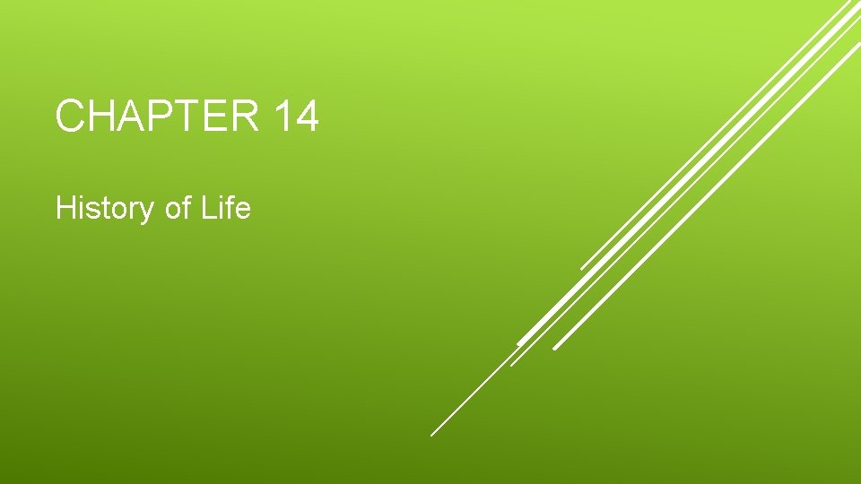 CHAPTER 14 History of Life 