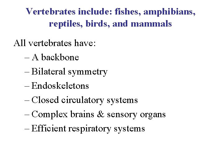 Vertebrates include: fishes, amphibians, reptiles, birds, and mammals All vertebrates have: – A backbone