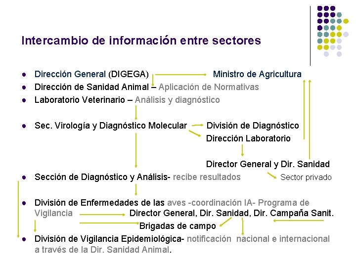 Intercambio de información entre sectores ● Dirección General (DIGEGA) Ministro de Agricultura ● Dirección