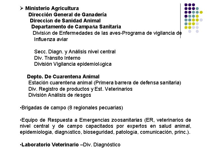 Ø Ministerio Agricultura Dirección General de Ganadería Dirección de Sanidad Animal Departamento de Campaña