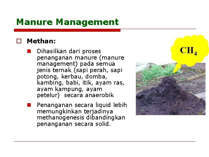 Manure Management o Methan: n Dihasilkan dari proses penanganan manure (manure management) pada semua