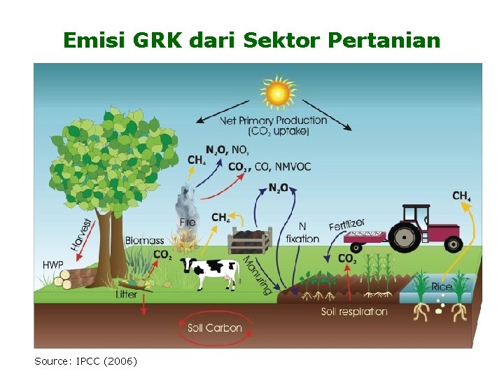 Emisi GRK dari Sektor Pertanian Source: IPCC (2006) 