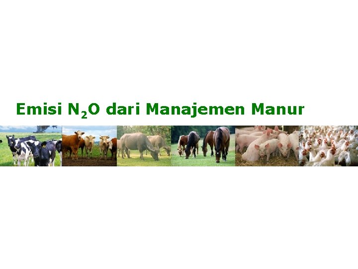 Emisi N 2 O dari Manajemen Manur 