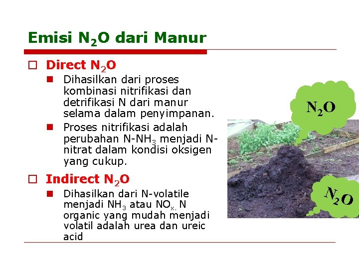 Emisi N 2 O dari Manur o Direct N 2 O n Dihasilkan dari