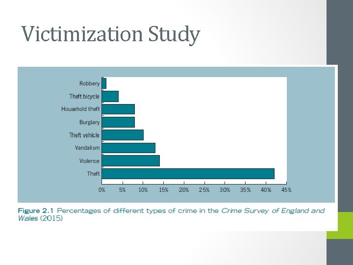 Victimization Study 