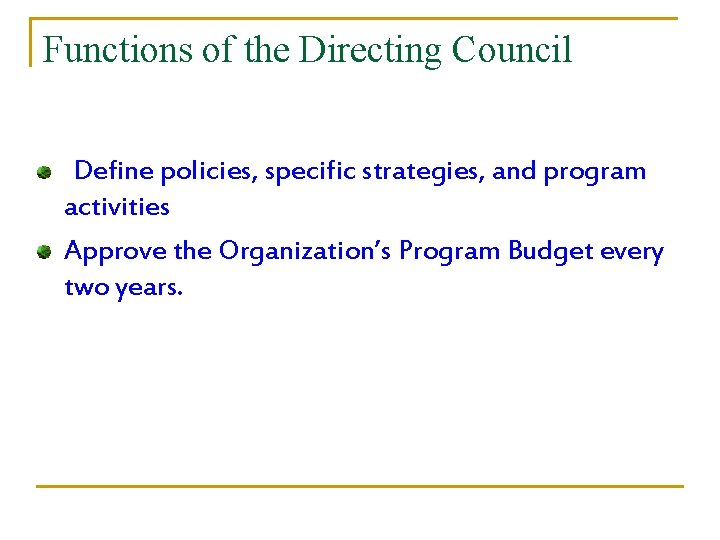 Functions of the Directing Council Define policies, specific strategies, and program activities Approve the
