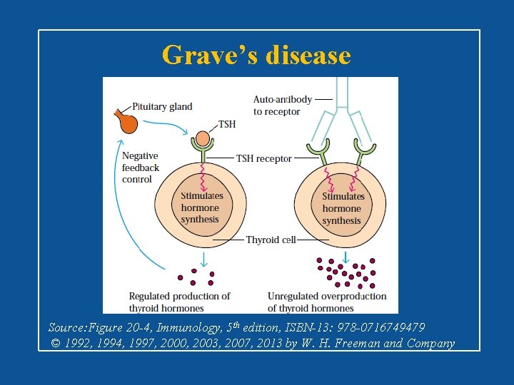 Grave’s disease Source: Figure 20 -4, Immunology, 5 th edition, ISBN-13: 978 -0716749479 ©