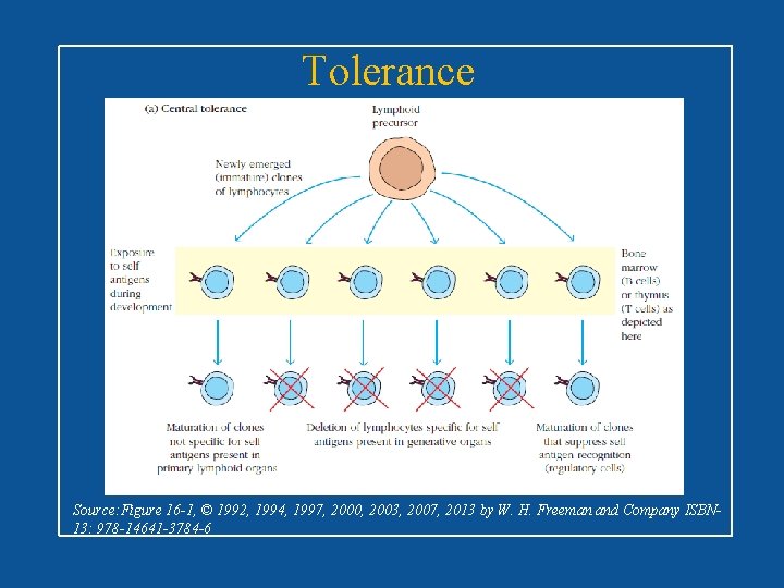 Tolerance Source: Figure 16 -1, © 1992, 1994, 1997, 2000, 2003, 2007, 2013 by