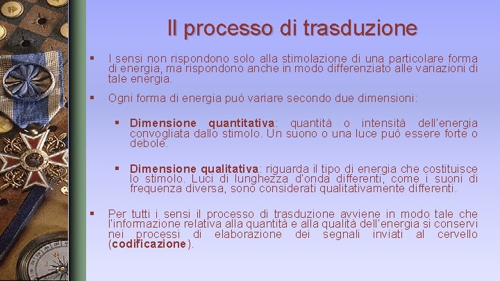 Il processo di trasduzione § I sensi non rispondono solo alla stimolazione di una