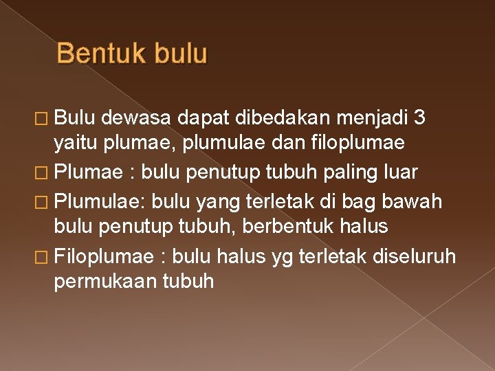 Bentuk bulu � Bulu dewasa dapat dibedakan menjadi 3 yaitu plumae, plumulae dan filoplumae