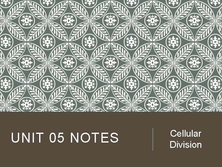 UNIT 05 NOTES Cellular Division UNIT 05 NOTES Cellular Division