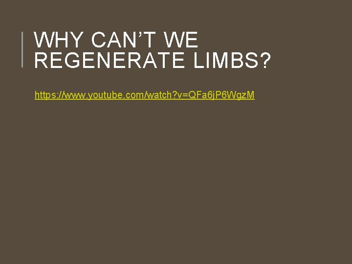 WHY CAN’T WE REGENERATE LIMBS? https: //www. youtube. com/watch? v=QFa 6 j. P 6 WHY CAN’T WE REGENERATE LIMBS? https: //www. youtube. com/watch? v=QFa 6 j. P 6
